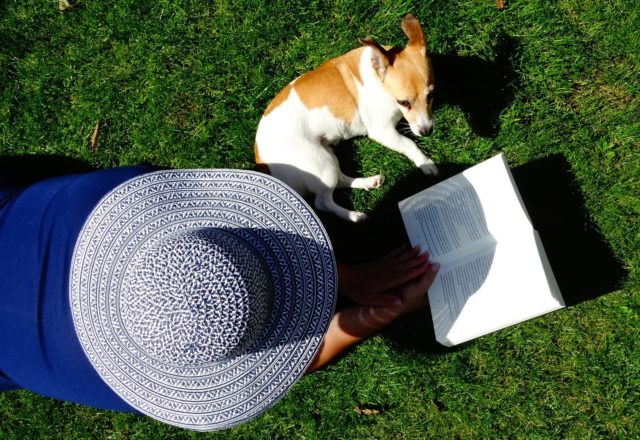 ariel view of person with sun hat reading outdoors next to a dog